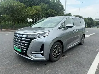 Denza Denza D9