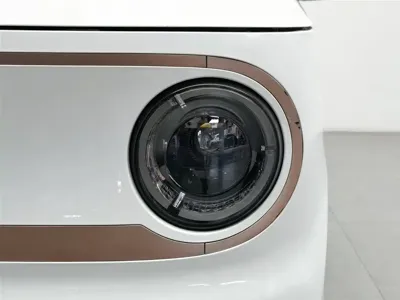 Galaxy Panda