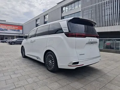 Denza Denza D9