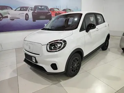 Leapmotor Leapmotor T03