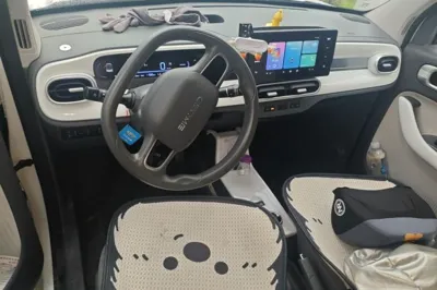 Geely Galaxy Panda