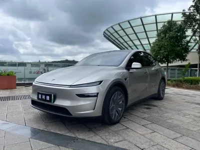 Tesla Model Y L