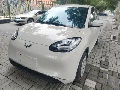 Wuling Bingo
