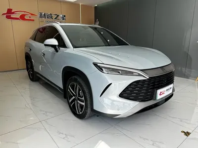 BYD L DM-i