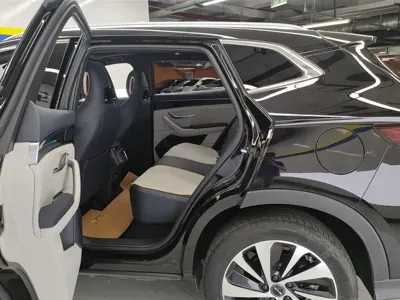 BYD PLUS New Energy