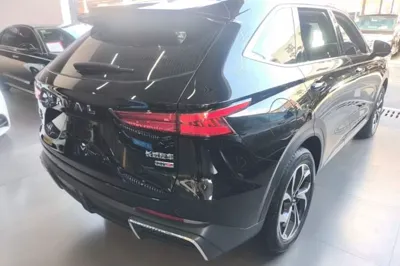 Haval Fierce Dragon Max