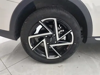 NETA Neta AYA