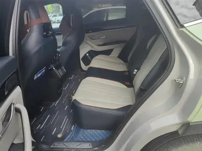 BYD PLUS New Energy