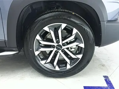 Haval Big Dog