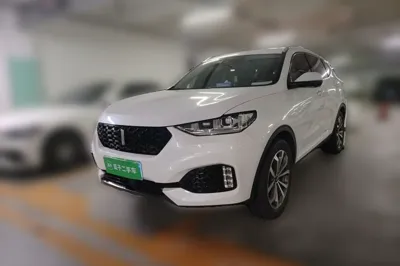 WEY VV6