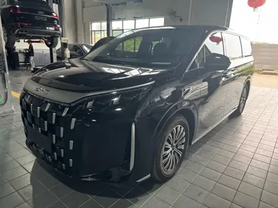 BYD M9
