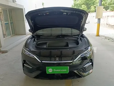 BYD L EV
