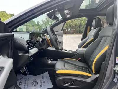 GAC Motor Shadow Leopard