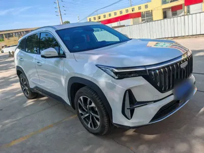 Geely Auto FX11