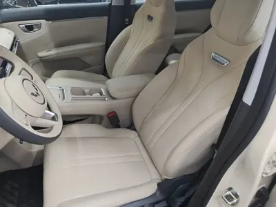 Wuling 缤果S