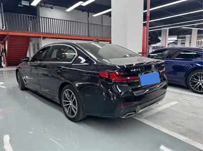 BMW 5 Series New Energy