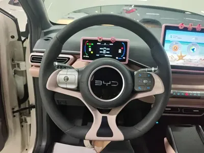 BYD Seagull