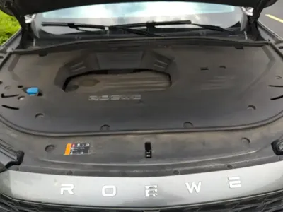 Roewe RX9