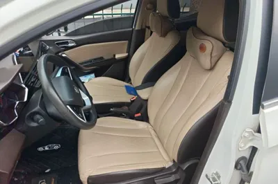 Baojun 310W