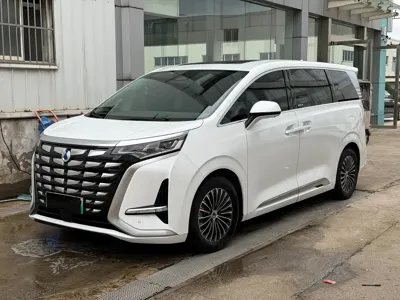 Denza Denza D9