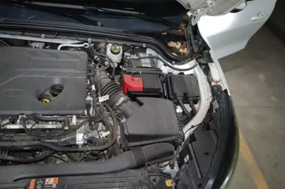 Ford Focus Active