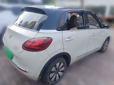 Wuling Bingo