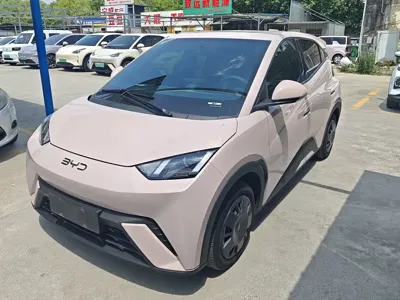 BYD Seagull