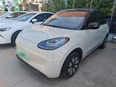 Wuling Bingo