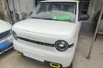 Geely Galaxy Panda