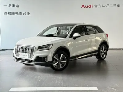 Audi Q2L e-tron