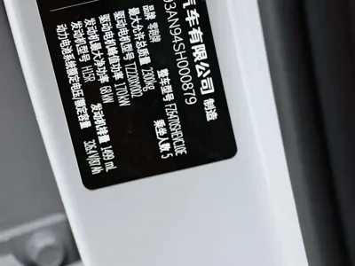 Leapmotor Leapmotor C10