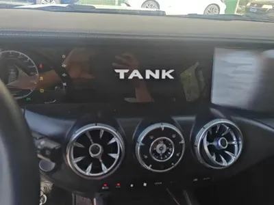 Tank Tank 300