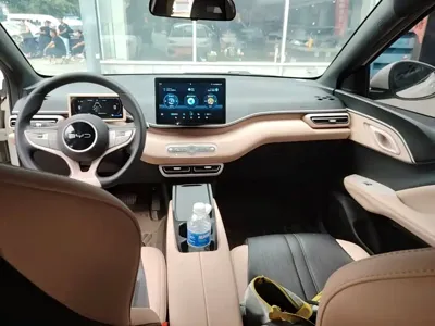 BYD Seagull
