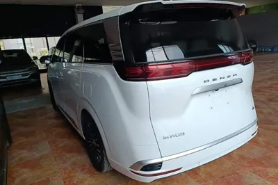 Denza D9