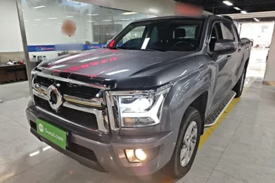 Great Wall King Kong Poer