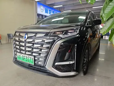 Denza Denza D9