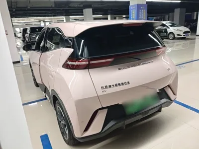 BYD Seagull