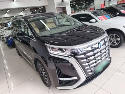 Denza D9