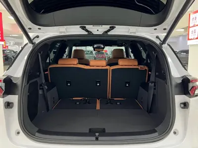 BYD Tang New Energy