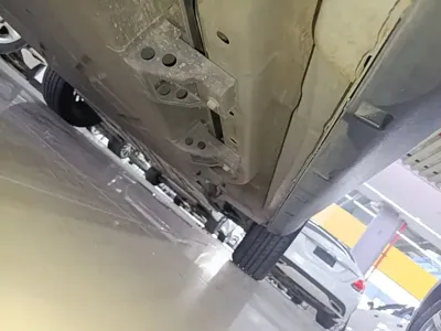 NETA Neta V