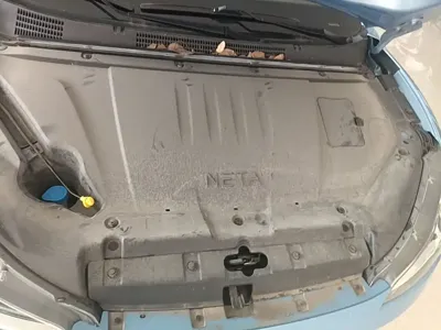NETA Neta V