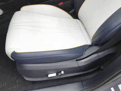 BYD PLUS New Energy