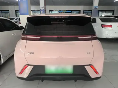 BYD Seagull