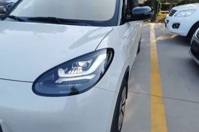 Wuling Bingo