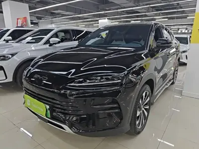 BYD PLUS New Energy