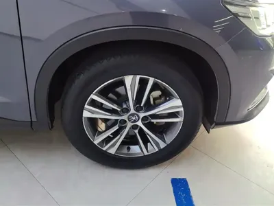 BYD Pro