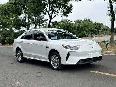 Cowin 轩度EV
