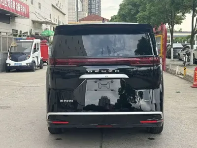 Denza Denza D9