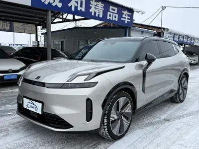 Lynk & Co 08 EM-P