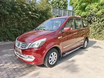BAW Weiwang M20
